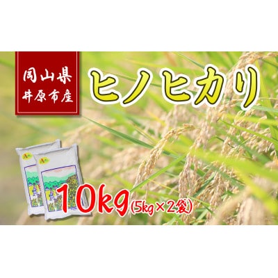 岡山県井原市産ヒノヒカリ10kg(5kg×2袋)