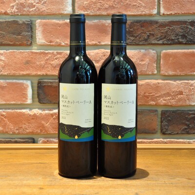 グランポレール岡山マスカットベーリーA<樽熟成>750ml×2本(赤)