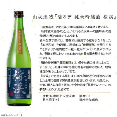 【びんご圏域連携】備後の日本酒『純米吟醸酒』飲み比べセット