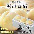 岡山白桃 ロイヤル 3玉×250g(2Lサイズ) 岡山県産