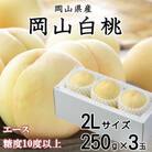 岡山白桃 エース 3玉×250g(2Lサイズ) 岡山県産