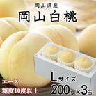 岡山白桃 エース 3玉×200g(Lサイズ )岡山県産