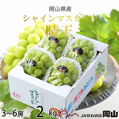 【10月9日迄：今年最後の感謝価格】岡山県産シャインマスカット2kg✕2箱