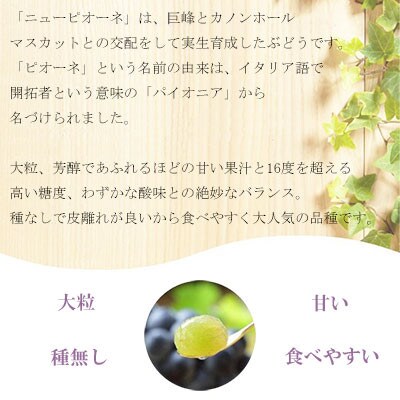 【2025年6月下旬より発送】岡山県産　ニューピオーネ　700g×1房