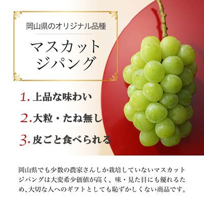 岡山県産 マスカットジパング 600g×1房