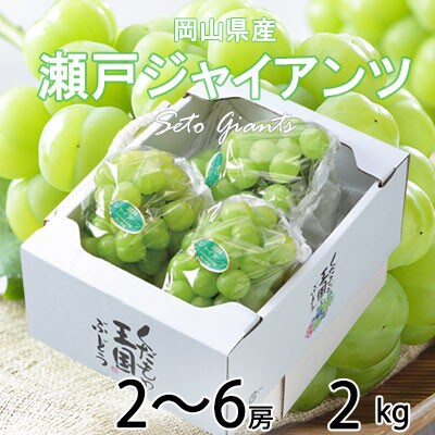 岡山県産　瀬戸ジャイアンツ　2kg(2房～6房)