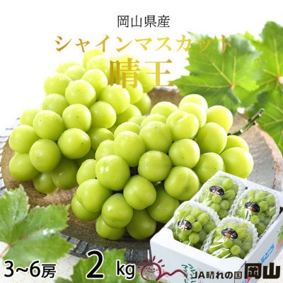 【2025年7月発送】岡山県産　シャインマスカット　晴王　2kg(3房～6房)