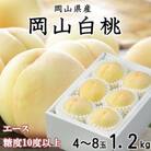 岡山白桃 エース4～8玉 1.2kg 岡山県産