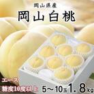 岡山白桃 エース 5～10玉 1.8kg 岡山県産