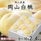 岡山白桃 エース 5～10玉 2.4kg 岡山県産