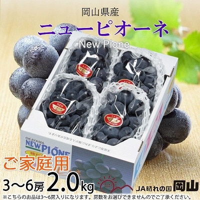 【2025年8月発送】ご家庭用 岡山県産 ピオーネ 2kg(3~6房)