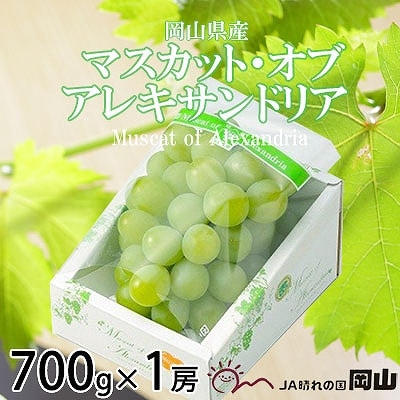 【2025年9月発送】岡山県産　マスカット・オブ・アレキサンドリア　700g×1房