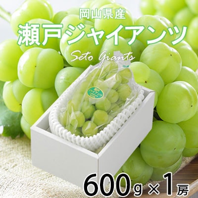 岡山県産 瀬戸ジャイアンツ 600g×1房
