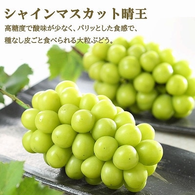 岡山県産　岡山白桃エースLサイズ200g×2玉・シャインマスカット晴王400g×1房　詰合せ