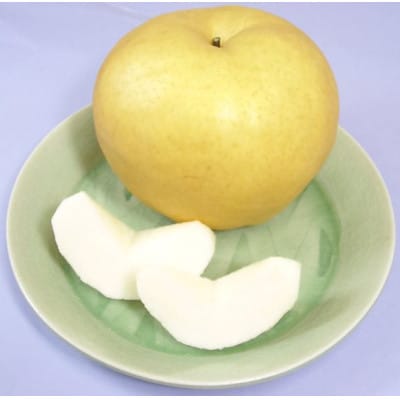 【2024年先行受付】あたご梨2玉(1.1kg×2玉)化粧箱