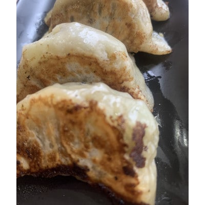 ぎょうざ楼の唯一無二の手打ち餃子60個(20個×3パック)　餃子1つ約30g!