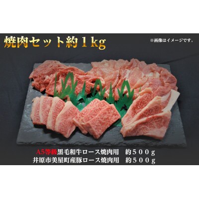 焼肉セット1kg(4～5人用)A5等級 黒毛和牛ロース約500gと豚ロース約500g 岡山県産