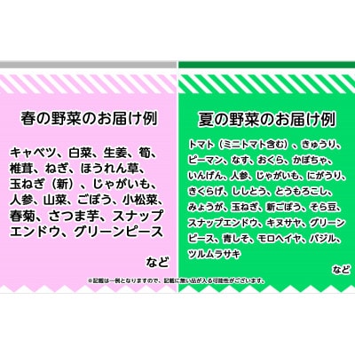 旬の農産物(野菜・果物など)詰合せ【7品以上】