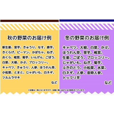 旬の農産物(野菜・果物など)詰合せ【7品以上】