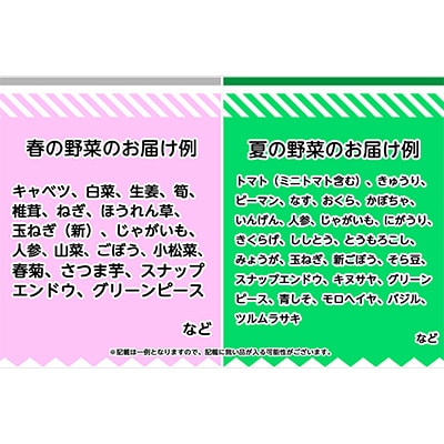【3ヵ月毎定期便】井原市産!旬の農産物(野菜・果物等)詰合せ7品以上　全4回