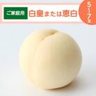 【ご家庭用】岡山白桃「白皇もしくは恵白」5～7玉(2026年8月中旬頃から順次発送予定)