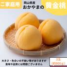 ご家庭用　おかやまの黄金桃　大玉3玉　約900g