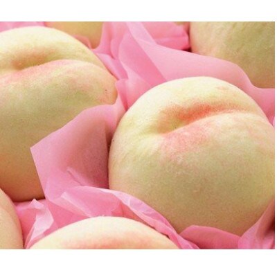 ご家庭用　おかやまの桃　約1.8kg(7～9玉)