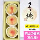 岡山の白桃(晩生種)　大玉3玉(約900g)