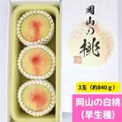 【2026年発送】岡山の白桃(早生種)　大玉3玉(約840g)