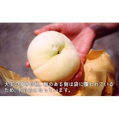 岡山県産　清水白桃　約2.2kg(大玉6～7玉)