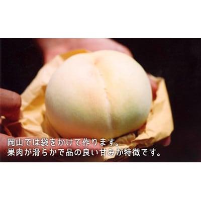 白桃(晩生種)3玉・シャインマスカット1房・ニューピオーネ1房　詰合せ　合計約1.8kg
