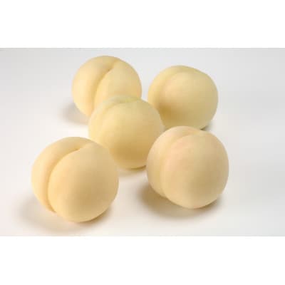 2026年予約受付　岡山県産　夢白桃　5玉(ロイヤル)