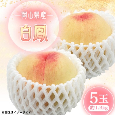 2026年先行予約　白鳳　5玉(エース)