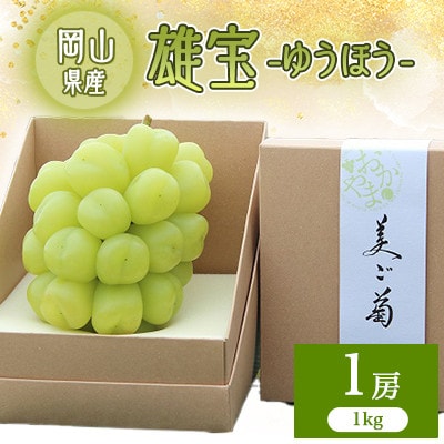 2026年先行予約　雄宝