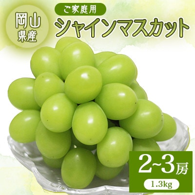 2026年先行予約　ご自宅用シャインマスカット