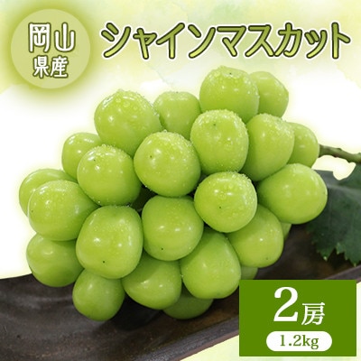 2026年先行予約　シャインマスカット　2房