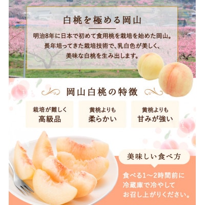 岡山県産　白桃 6玉(1.5kg以上) 等級:ロイヤル 化粧箱入り