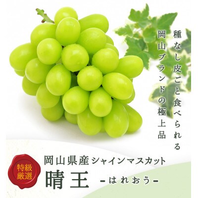 岡山県産 シャインマスカット『晴王』1房(800g以上) 化粧箱入り
