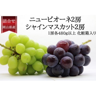 岡山県産 ぶどう詰合/ニューピオーネ2房・シャインマスカット晴王2房(各1房480g以上)