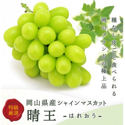 岡山県産 ぶどう詰合/ニューピオーネ2房・シャインマスカット晴王2房(各1房480g以上)