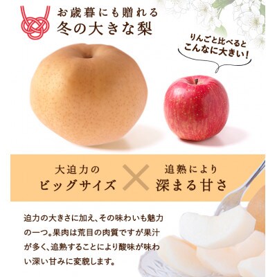 岡山県産 あたご梨 4～7玉(約4kg) 化粧箱入り