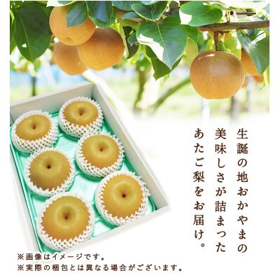 岡山県産 あたご梨 4～7玉(約4kg) 化粧箱入り