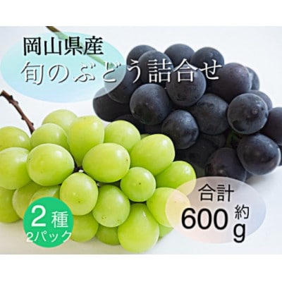 岡山県産 旬のぶどう詰合せ 2種2パックセット