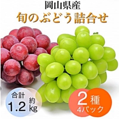 岡山県産 旬のぶどう詰合せ 2種4パックセット