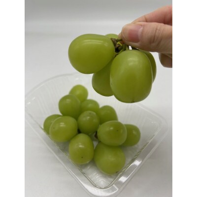 【発送月固定定期便】岡山県産 フルーツ定期便<お一人様向け>全6回