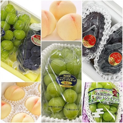 【発送月固定定期便】岡山県産  フルーツ定期便全6回