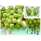 シャインマスカット 晴王 2房(1.2kg)【2026年10月上旬から順次発送】