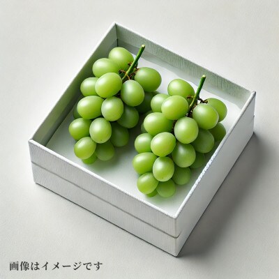 2025年発送【完熟朝採り】シャインマスカット 2房 1.0kg前後【フルーツ王国岡山】
