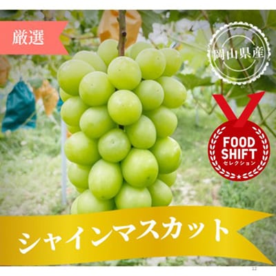 �N���X�}�X�ɂ҂�����̃V���C���}�X�J�b�g ��1kg(2�`3�[ �؂₩�ȐȂ��ʂ���ʂȑ��蕨)