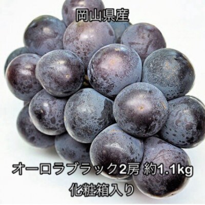 【2026年発送】岡山県産 オーロラブラック 2房 (約1.1kg) 化粧箱入り